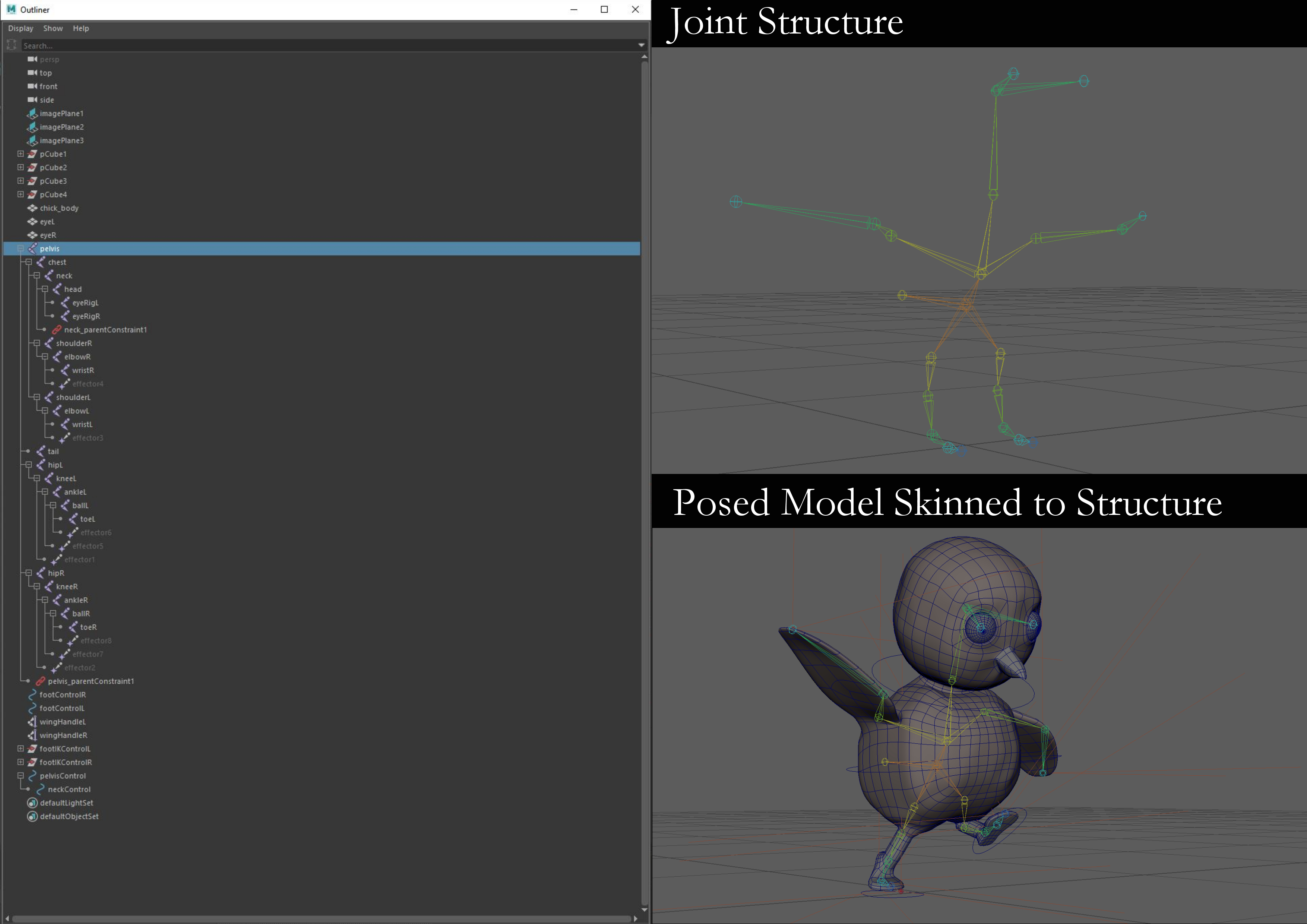 Rigging of the Chick character with joint stucture, hierarchy in the outliner, and skinned and posed.