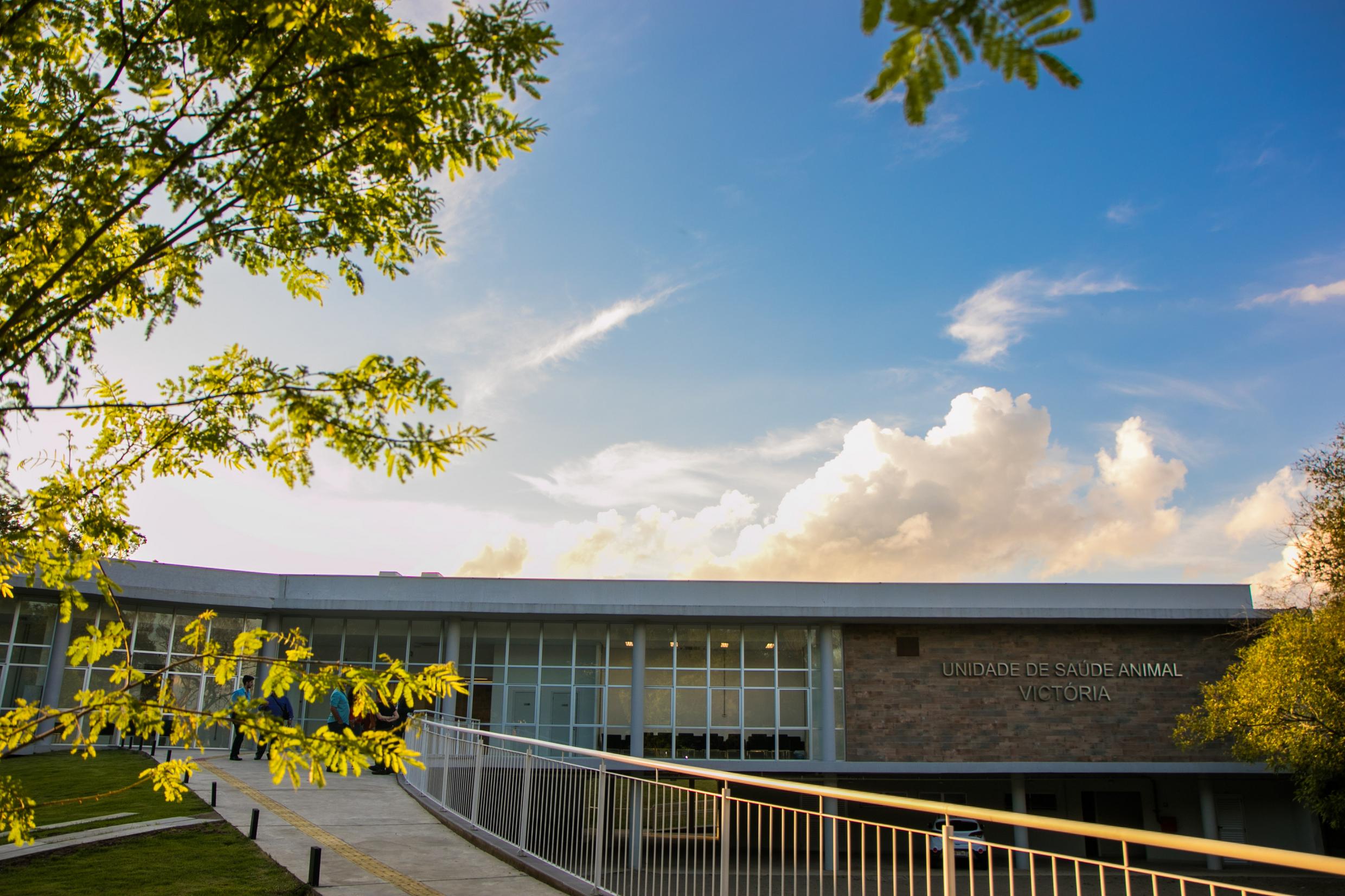 Photo of the blue sky and green nature around our animal hospital.