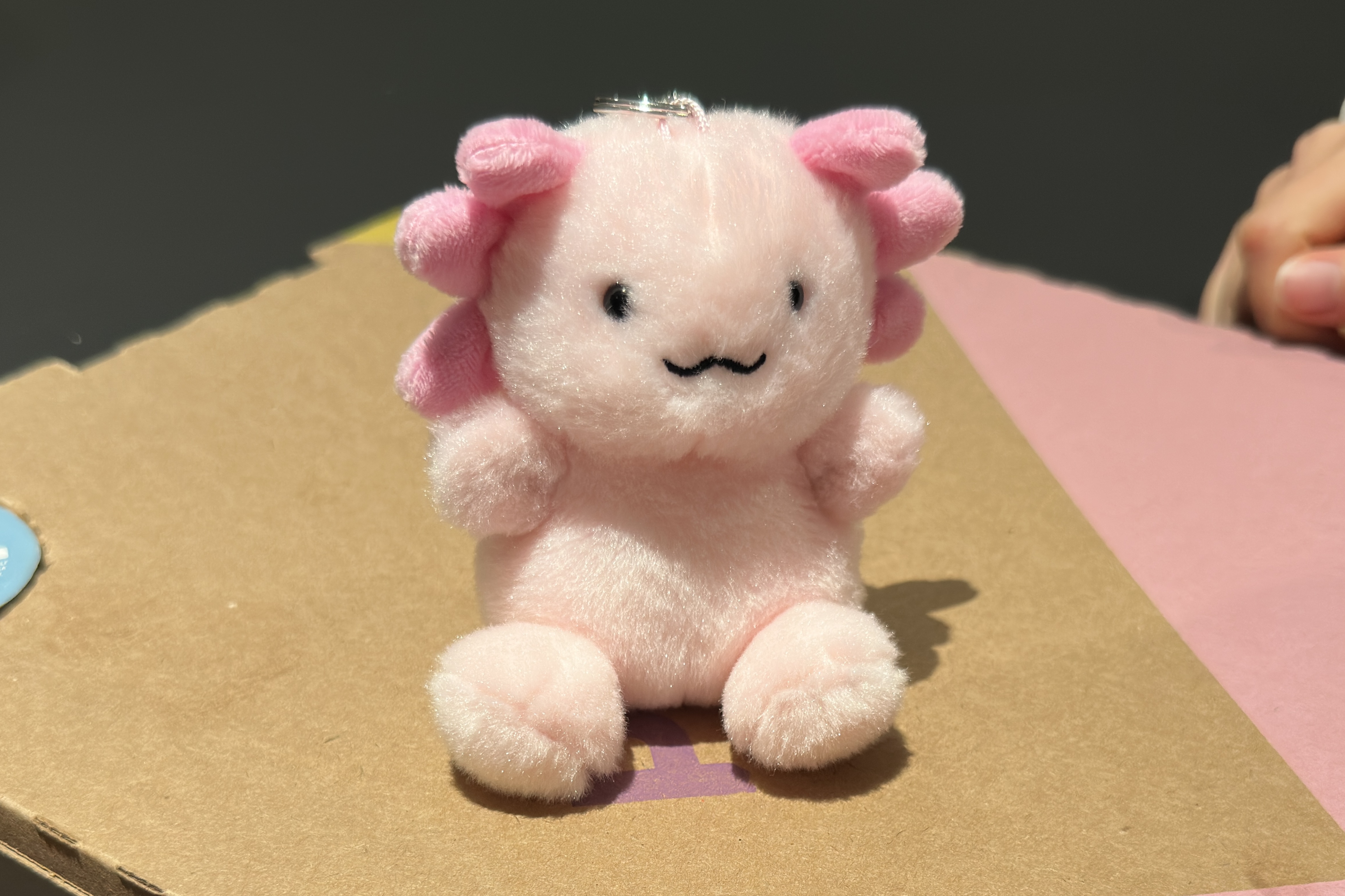 Second Rodents Pinky